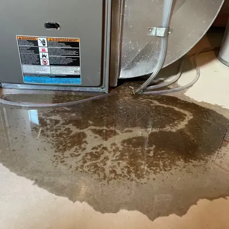 Appliance Leak Cleanup in Park Hills, MO